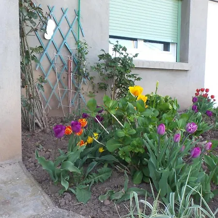 Apartment Abeane *